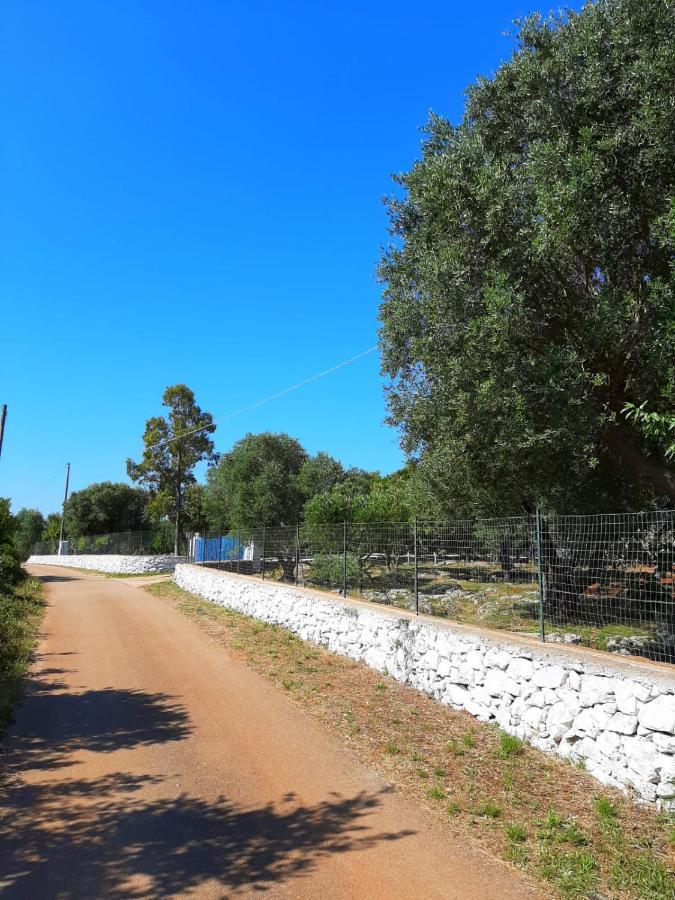 Вилла Trullo Fellone Челье-Мессапика Экстерьер фото