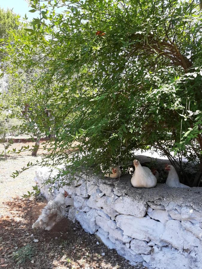 Вилла Trullo Fellone Челье-Мессапика Экстерьер фото